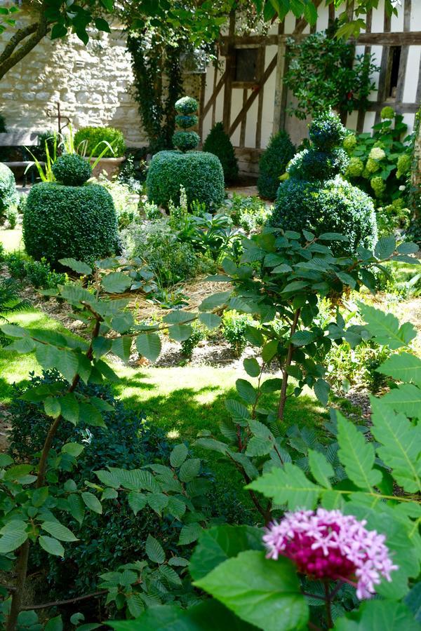 Le Jardin De La Cathedrale Bed and Breakfast Troyes Exteriör bild